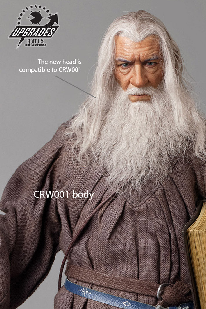 GANDALF THE GREY UPGRADE PACKAGE – Asmus Collectibles