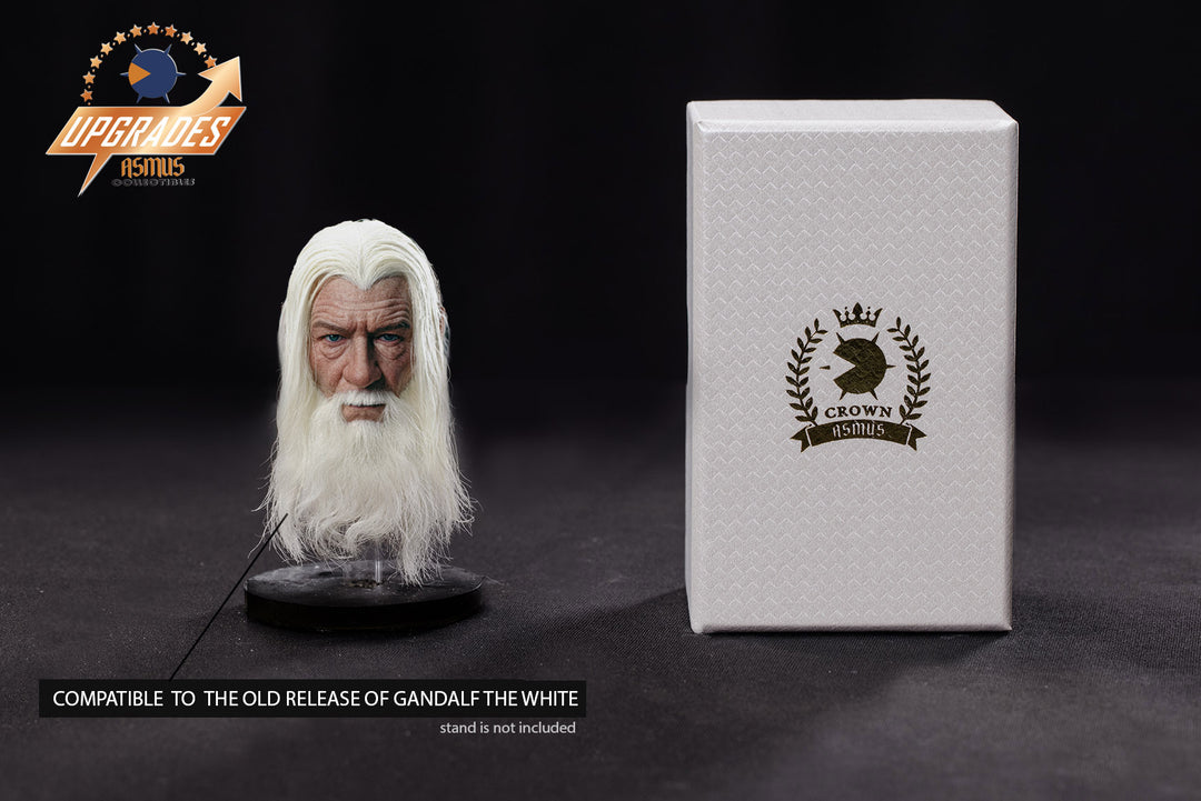Lord of the Rings Gandalf the Grey Replica Hat Authentic